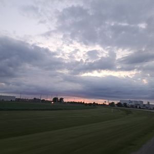 Meet your Posher, Tatum